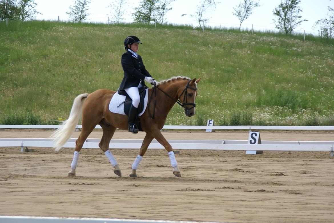 Højfyns Rideklub  Pinsen 2012 billede 17