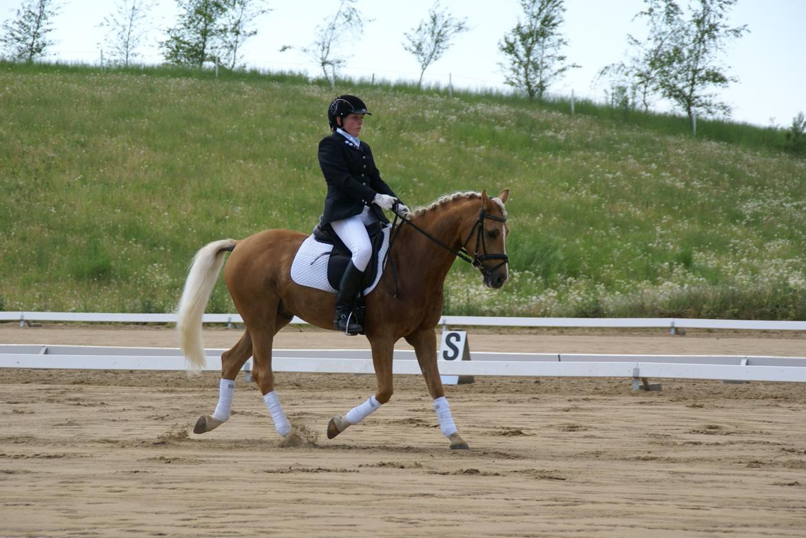 Højfyns Rideklub  Pinsen 2012 billede 18