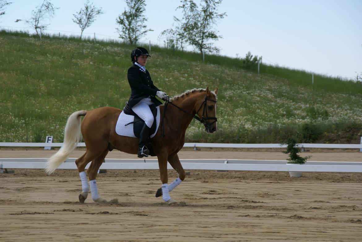 Højfyns Rideklub  Pinsen 2012 billede 19