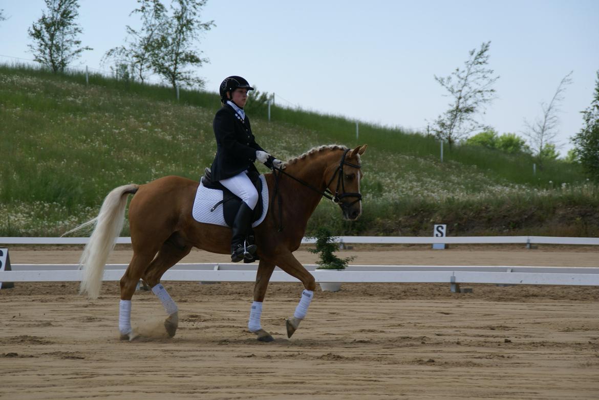 Højfyns Rideklub  Pinsen 2012 billede 20