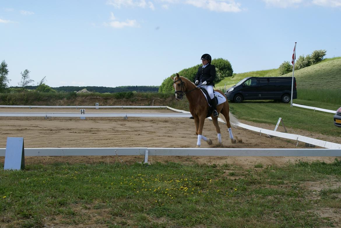 Højfyns Rideklub  Pinsen 2012 billede 21