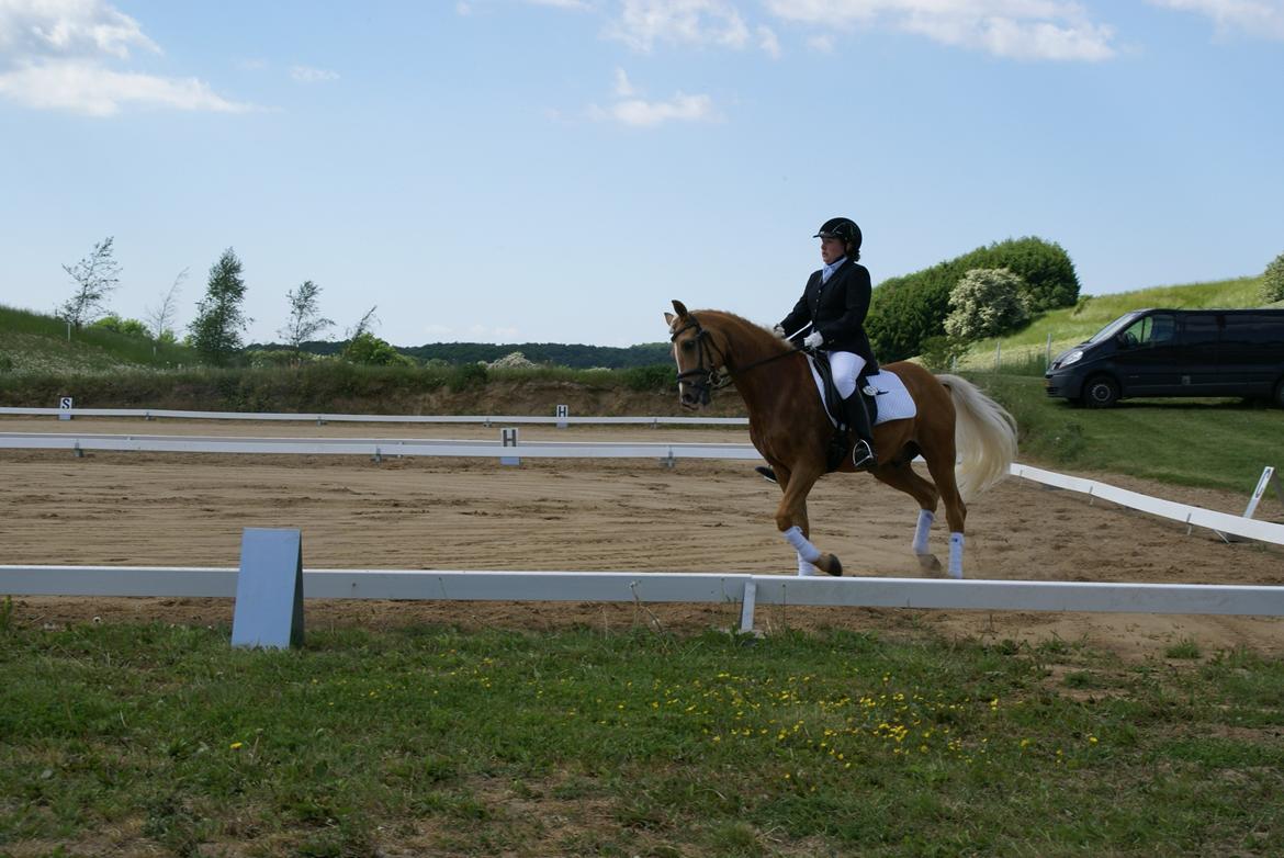 Højfyns Rideklub  Pinsen 2012 billede 22