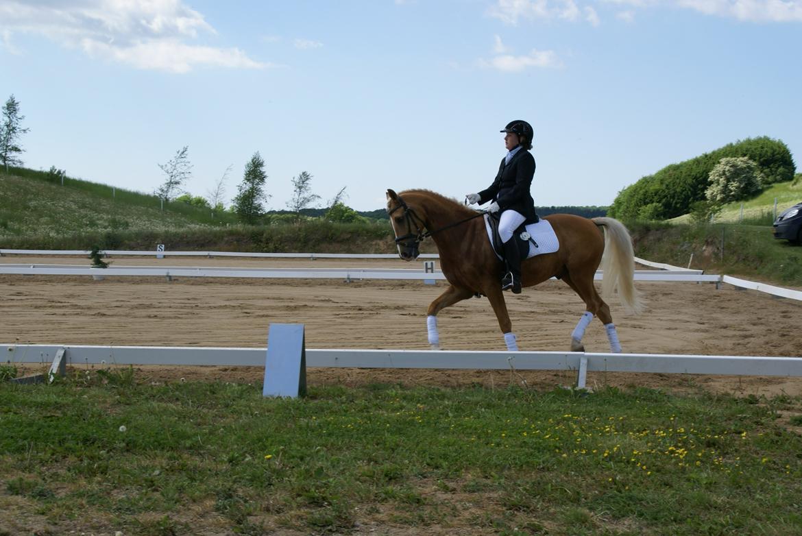 Højfyns Rideklub  Pinsen 2012 billede 23