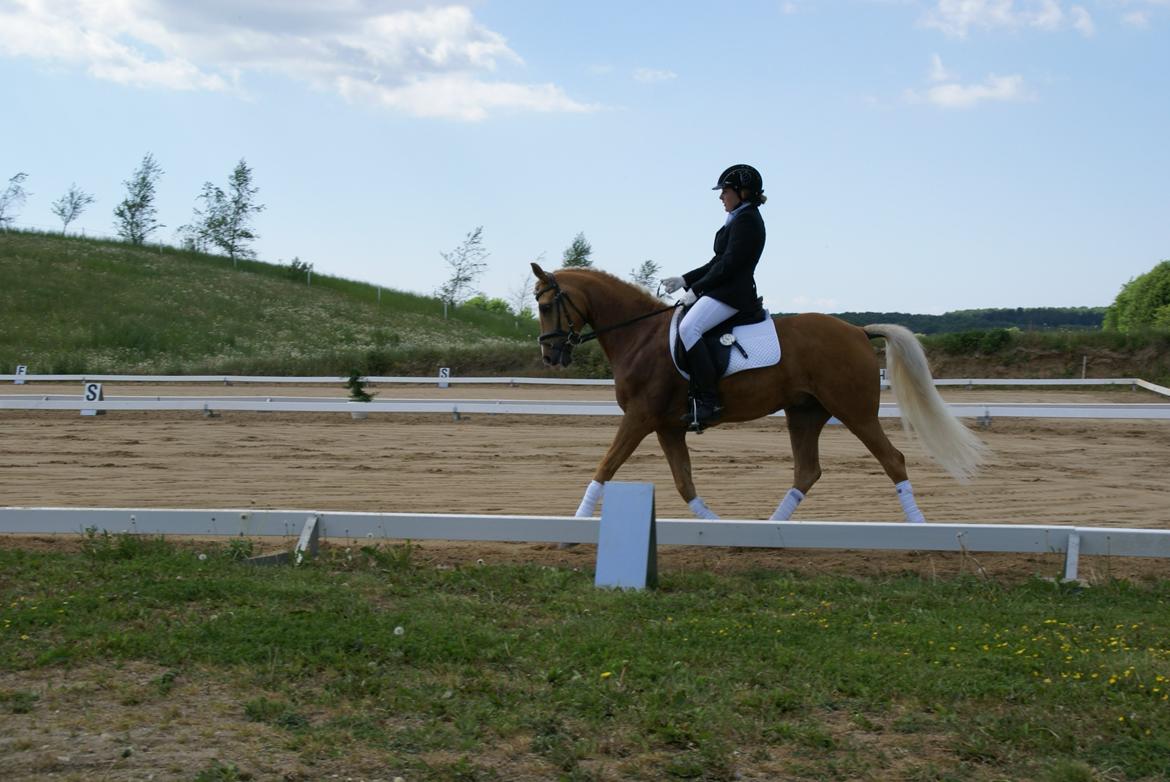 Højfyns Rideklub  Pinsen 2012 billede 24
