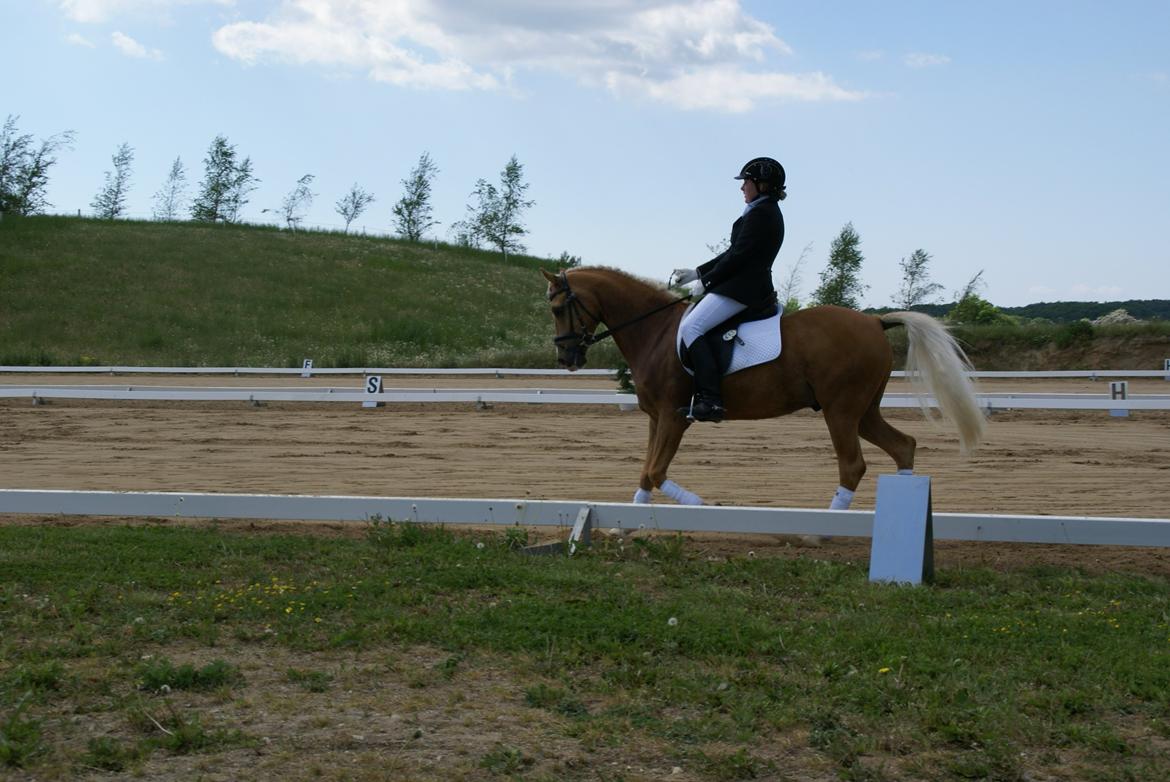 Højfyns Rideklub  Pinsen 2012 billede 25