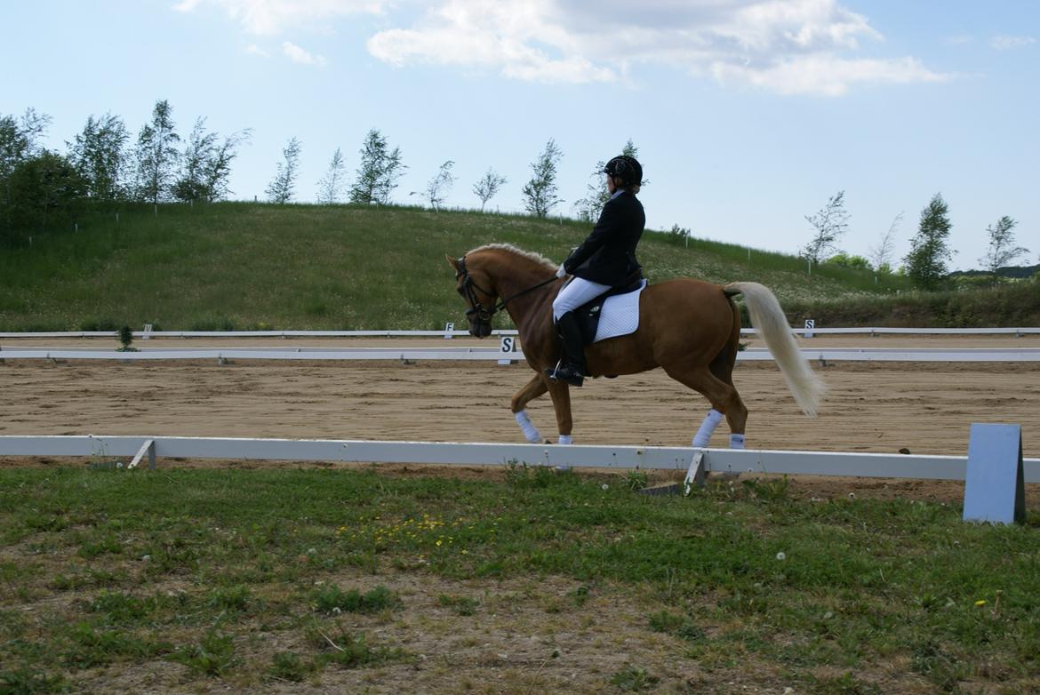 Højfyns Rideklub  Pinsen 2012 billede 26