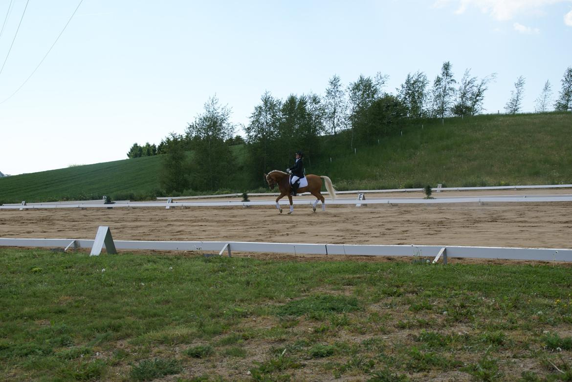 Højfyns Rideklub  Pinsen 2012 billede 28