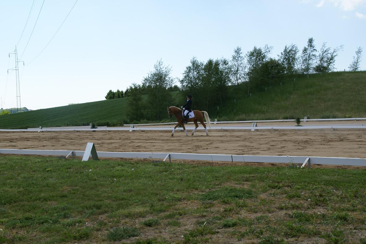 Højfyns Rideklub  Pinsen 2012 billede 29