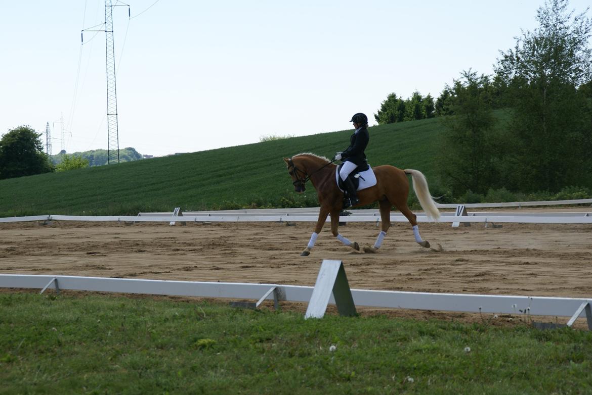 Højfyns Rideklub  Pinsen 2012 billede 30