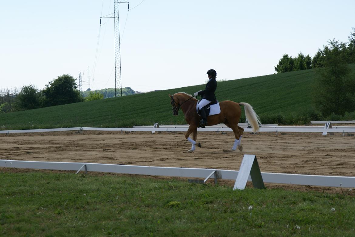 Højfyns Rideklub  Pinsen 2012 billede 31