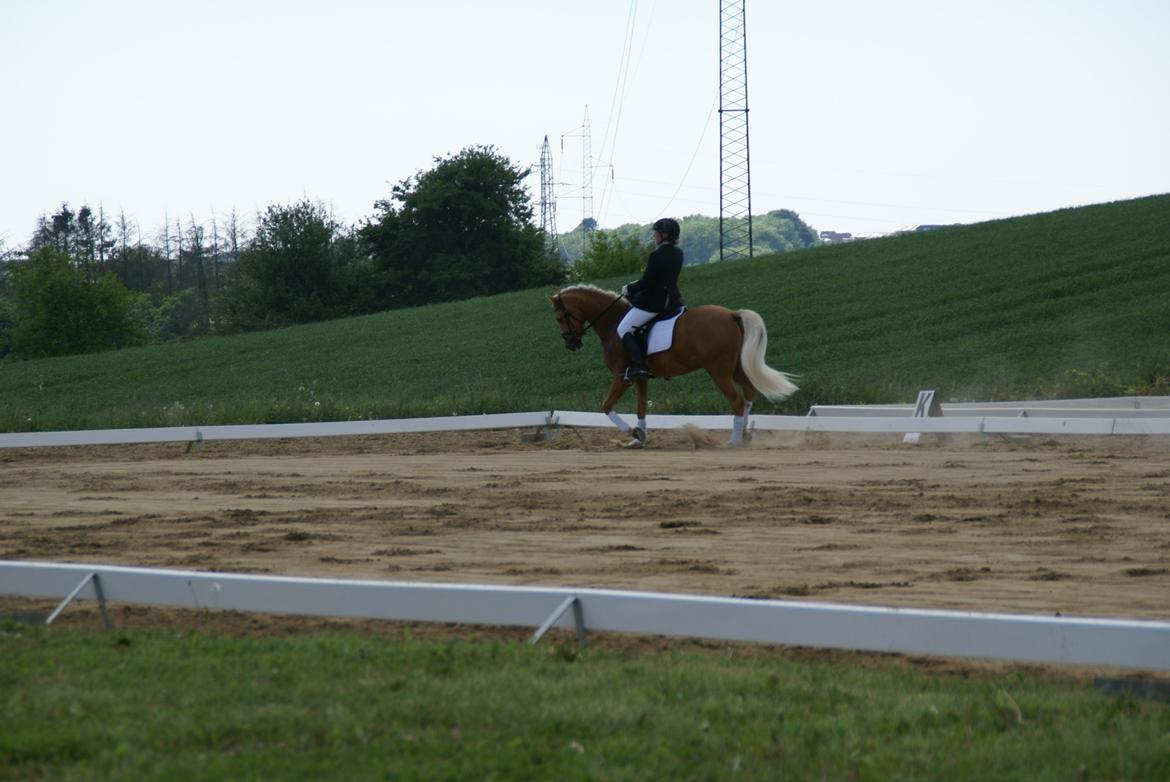 Højfyns Rideklub  Pinsen 2012 billede 32
