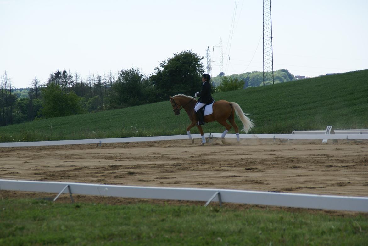 Højfyns Rideklub  Pinsen 2012 billede 33