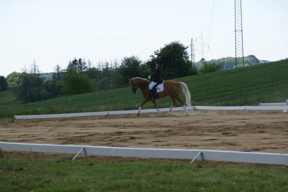 Højfyns Rideklub  Pinsen 2012 billede 34