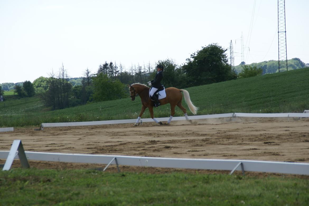 Højfyns Rideklub  Pinsen 2012 billede 35