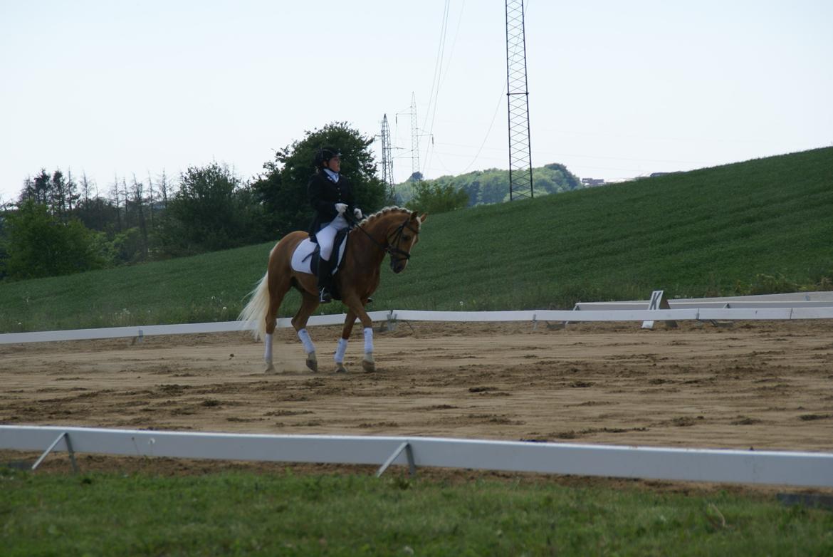 Højfyns Rideklub  Pinsen 2012 billede 36