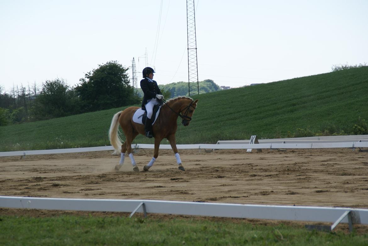 Højfyns Rideklub  Pinsen 2012 billede 37