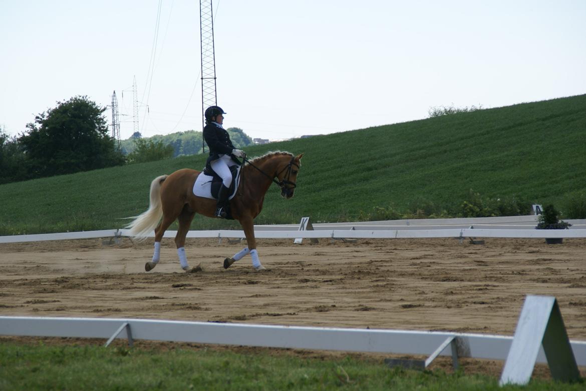 Højfyns Rideklub  Pinsen 2012 billede 38