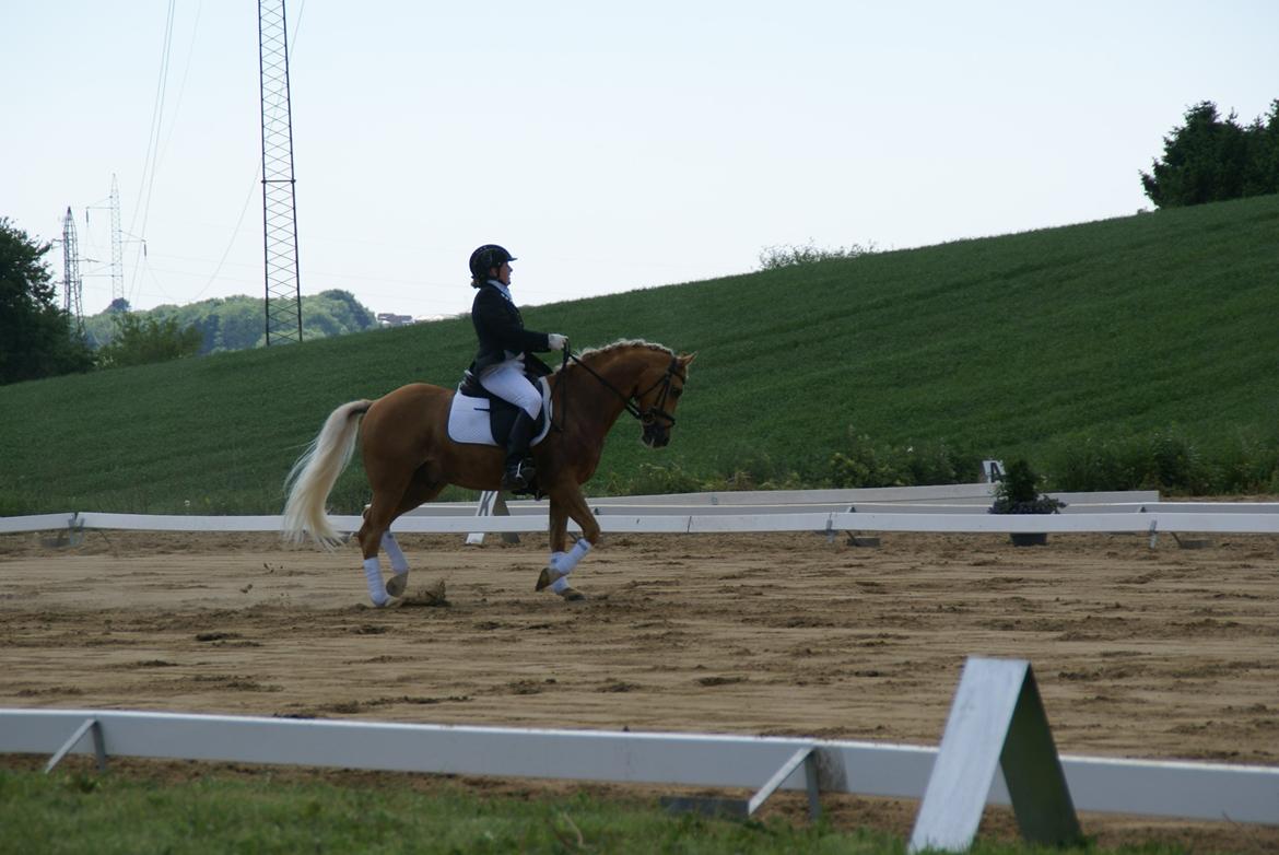 Højfyns Rideklub  Pinsen 2012 billede 39