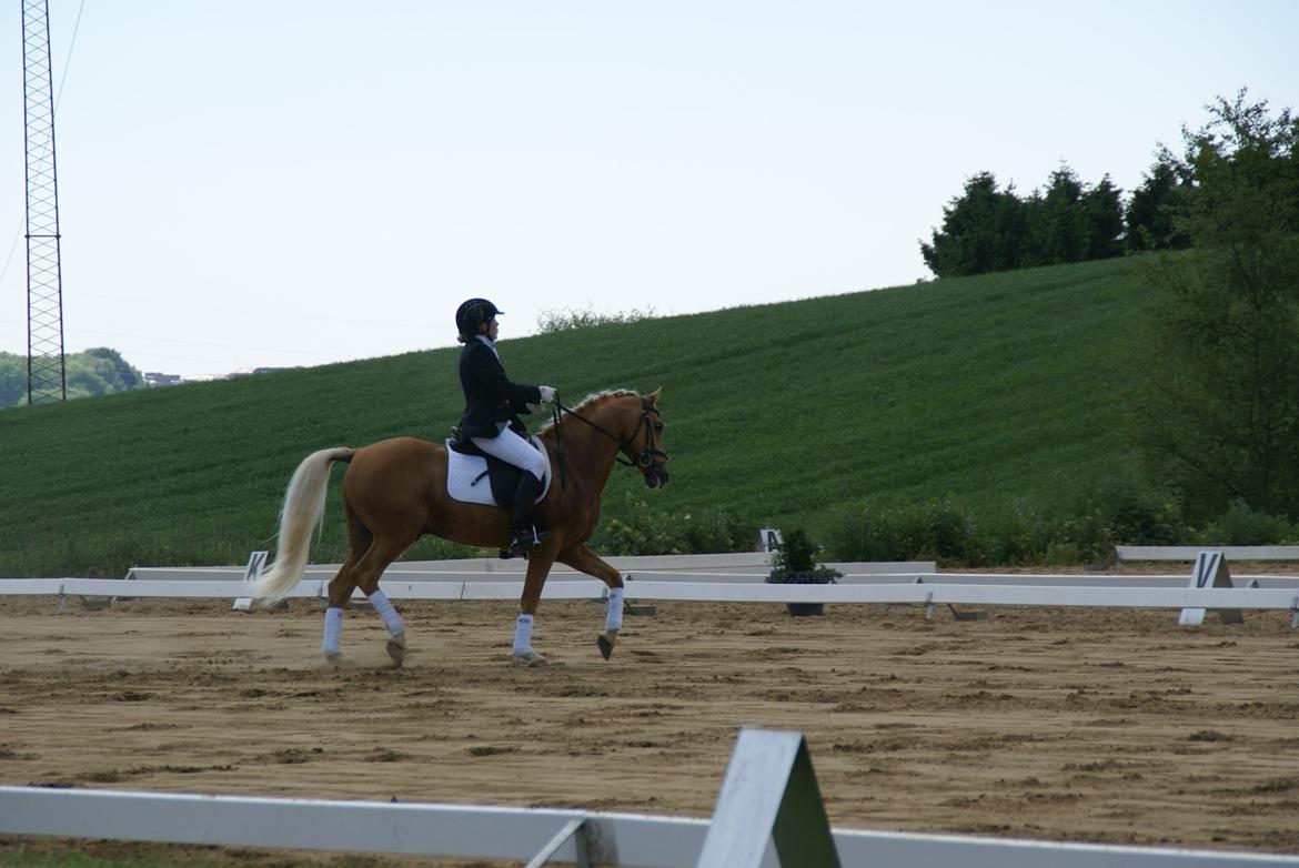 Højfyns Rideklub  Pinsen 2012 billede 40