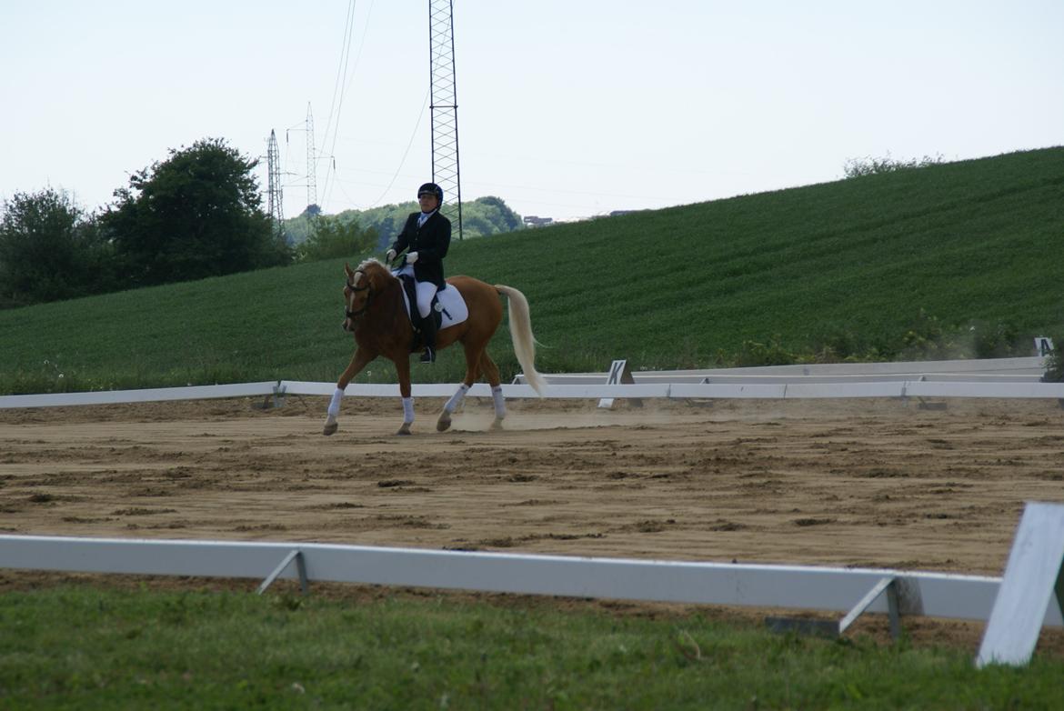 Højfyns Rideklub  Pinsen 2012 billede 41