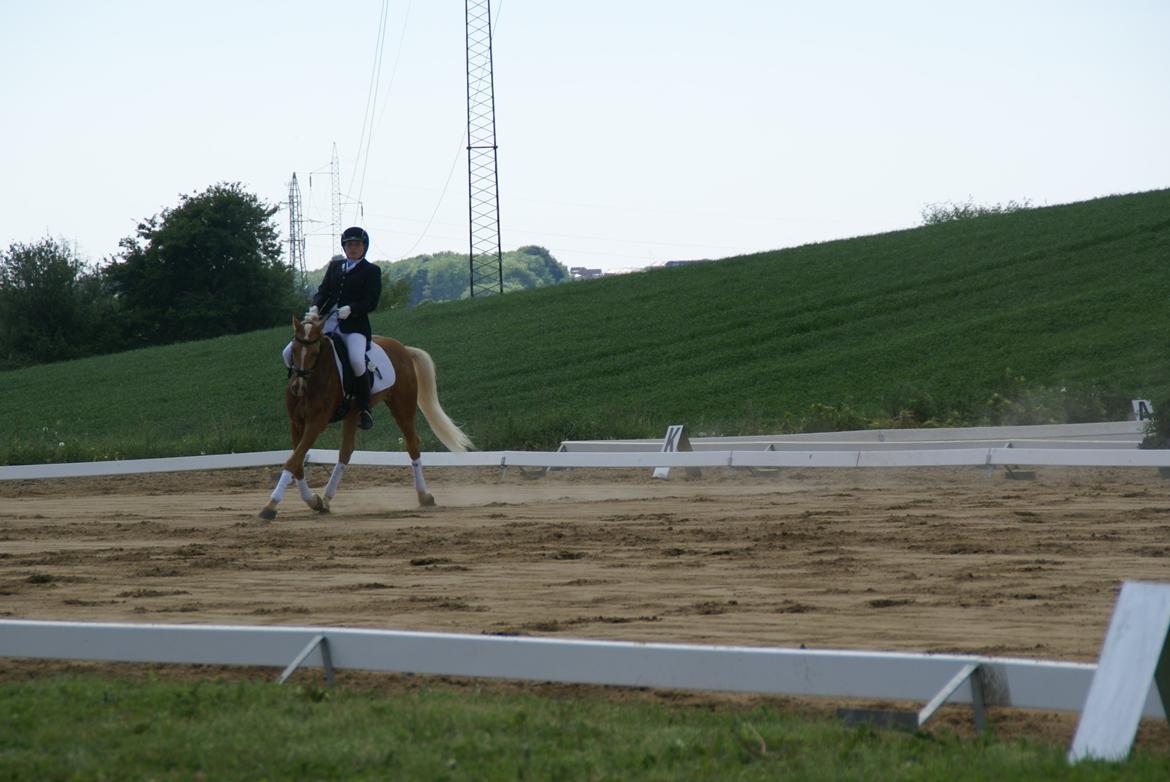 Højfyns Rideklub  Pinsen 2012 billede 42