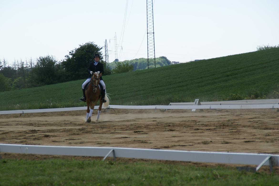Højfyns Rideklub  Pinsen 2012 billede 43