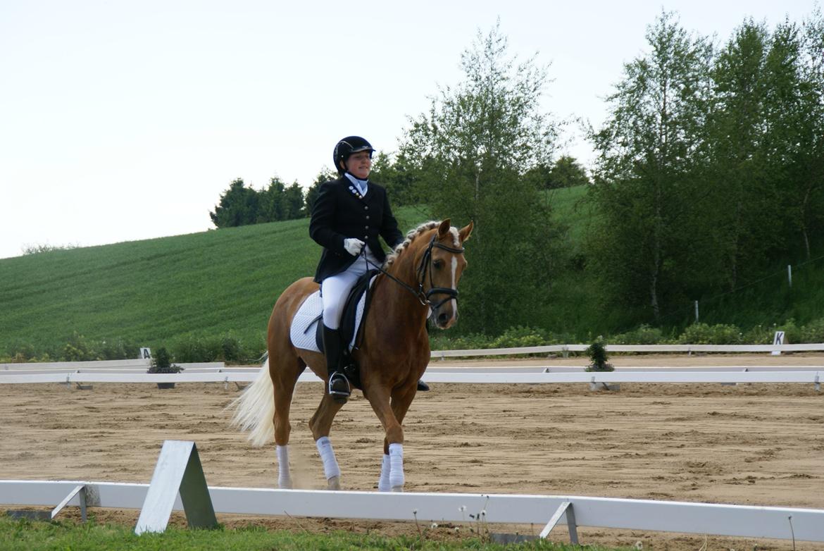 Højfyns Rideklub  Pinsen 2012 billede 44