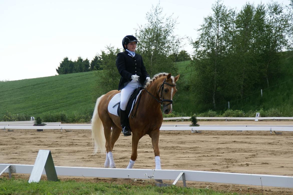 Højfyns Rideklub  Pinsen 2012 billede 45