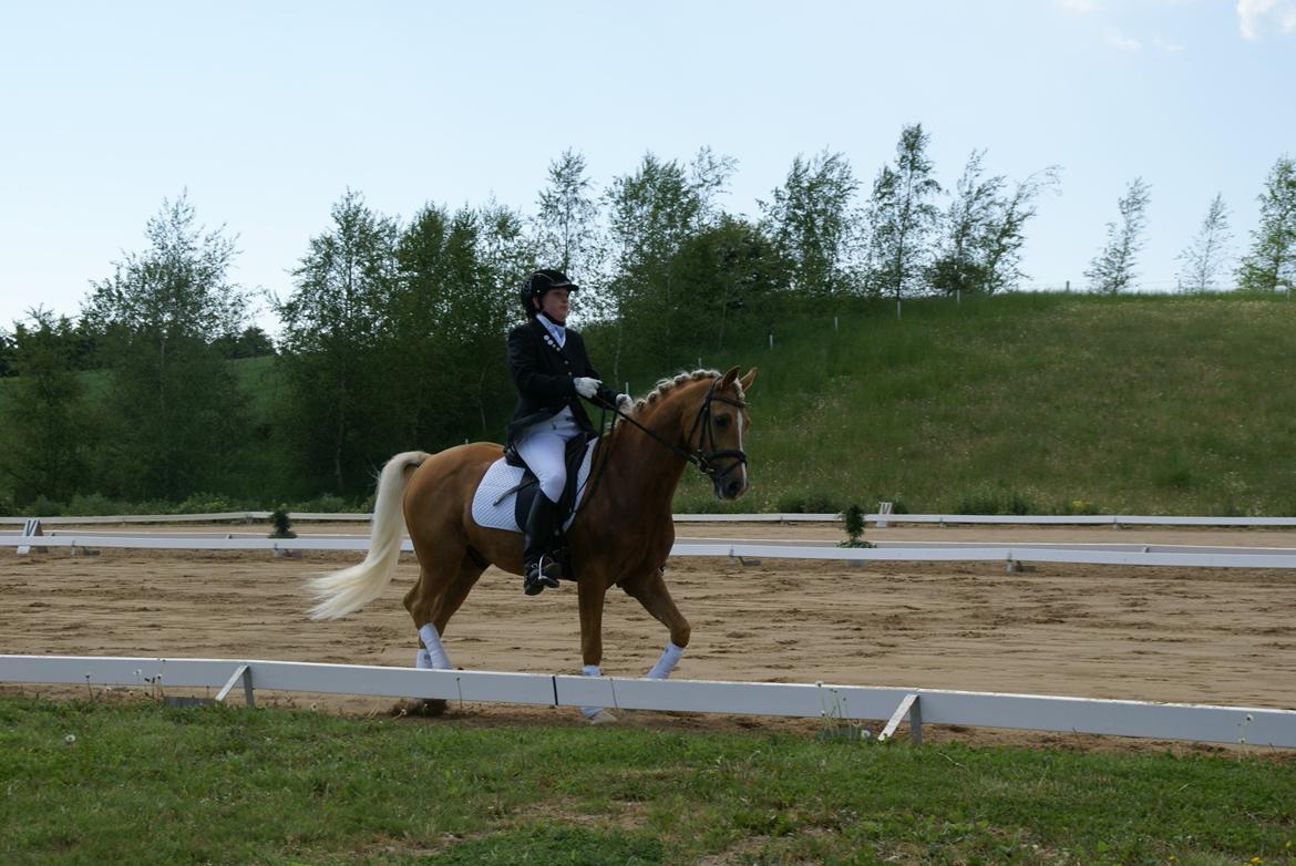 Højfyns Rideklub  Pinsen 2012 billede 46
