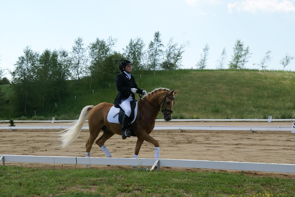 Højfyns Rideklub  Pinsen 2012 billede 47