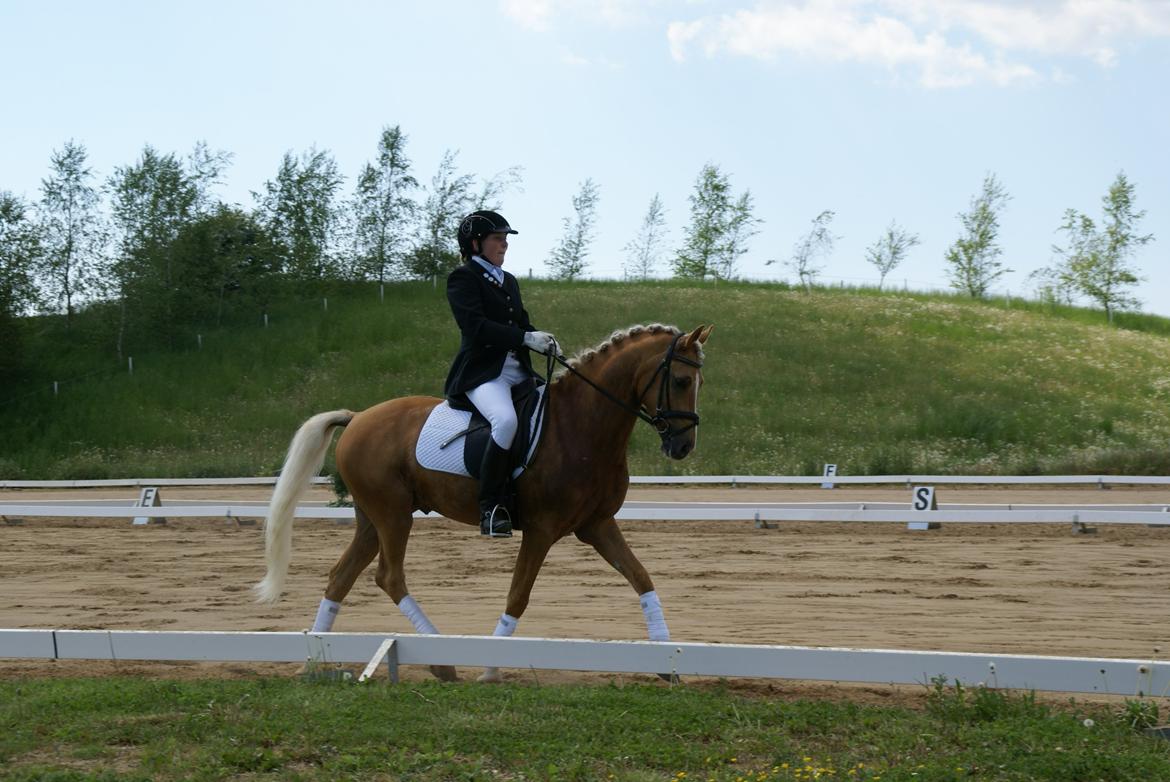 Højfyns Rideklub  Pinsen 2012 billede 48
