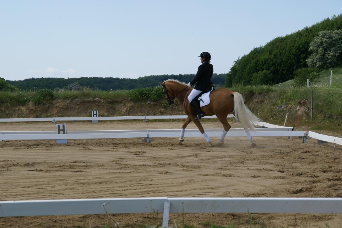 Højfyns Rideklub  Pinsen 2012 billede 49