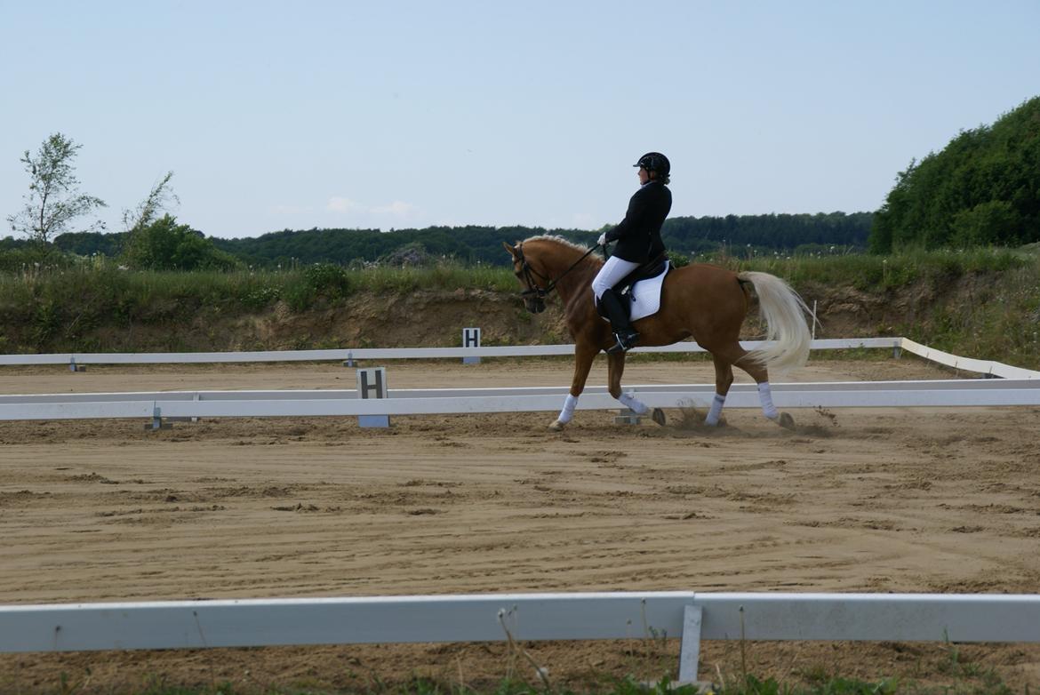 Højfyns Rideklub  Pinsen 2012 billede 50