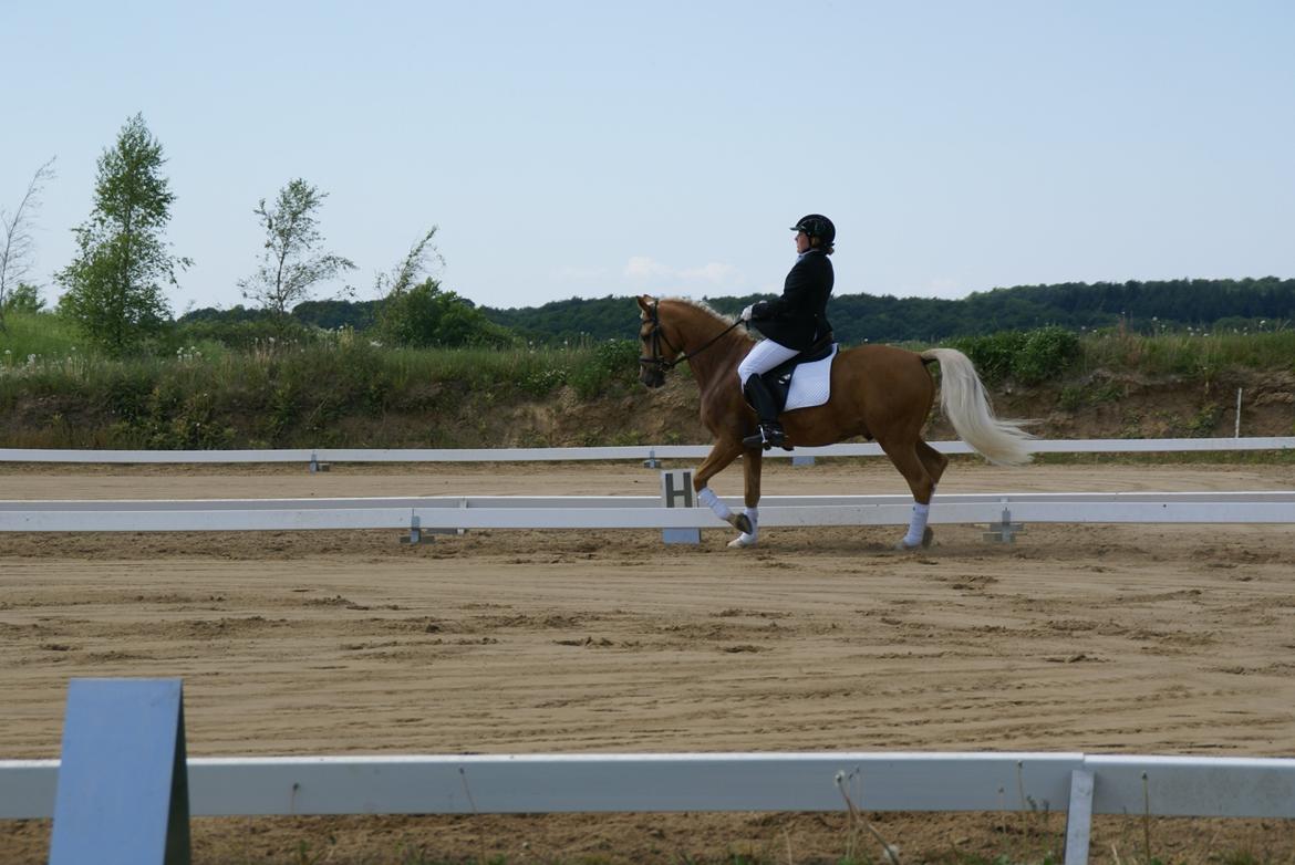 Højfyns Rideklub  Pinsen 2012 billede 51