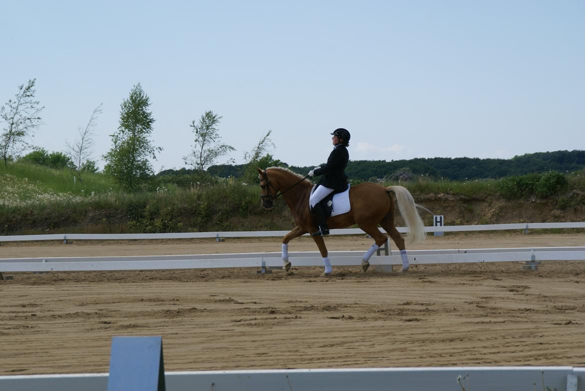 Højfyns Rideklub  Pinsen 2012 billede 52