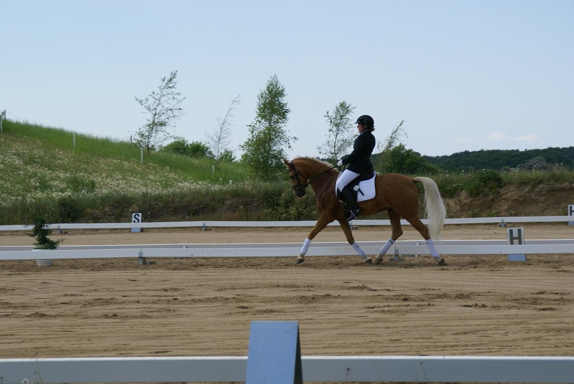 Højfyns Rideklub  Pinsen 2012 billede 53