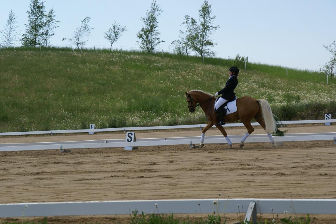 Højfyns Rideklub  Pinsen 2012 billede 54