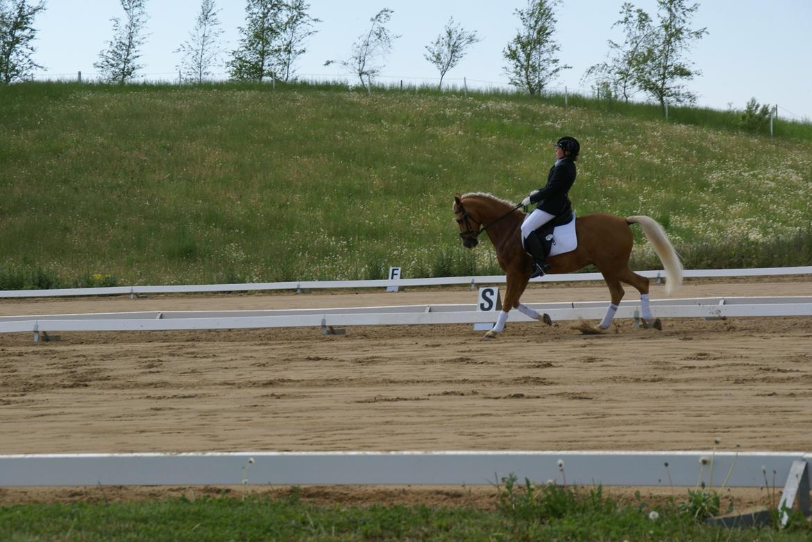 Højfyns Rideklub  Pinsen 2012 billede 55