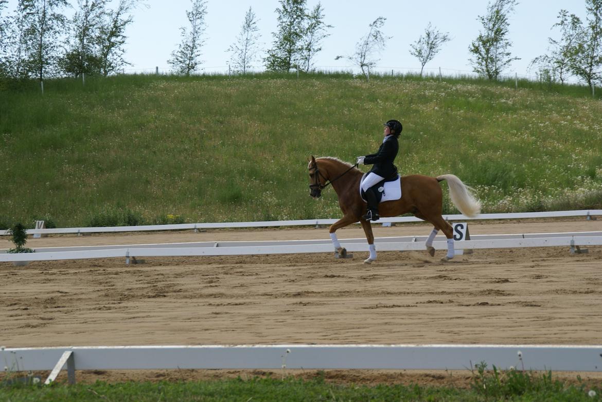 Højfyns Rideklub  Pinsen 2012 billede 56