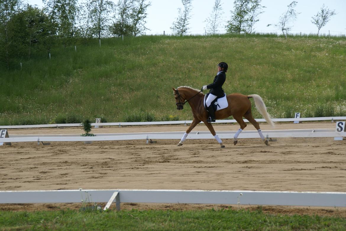 Højfyns Rideklub  Pinsen 2012 billede 57