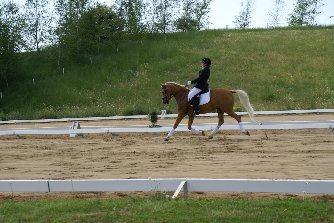 Højfyns Rideklub  Pinsen 2012 billede 58