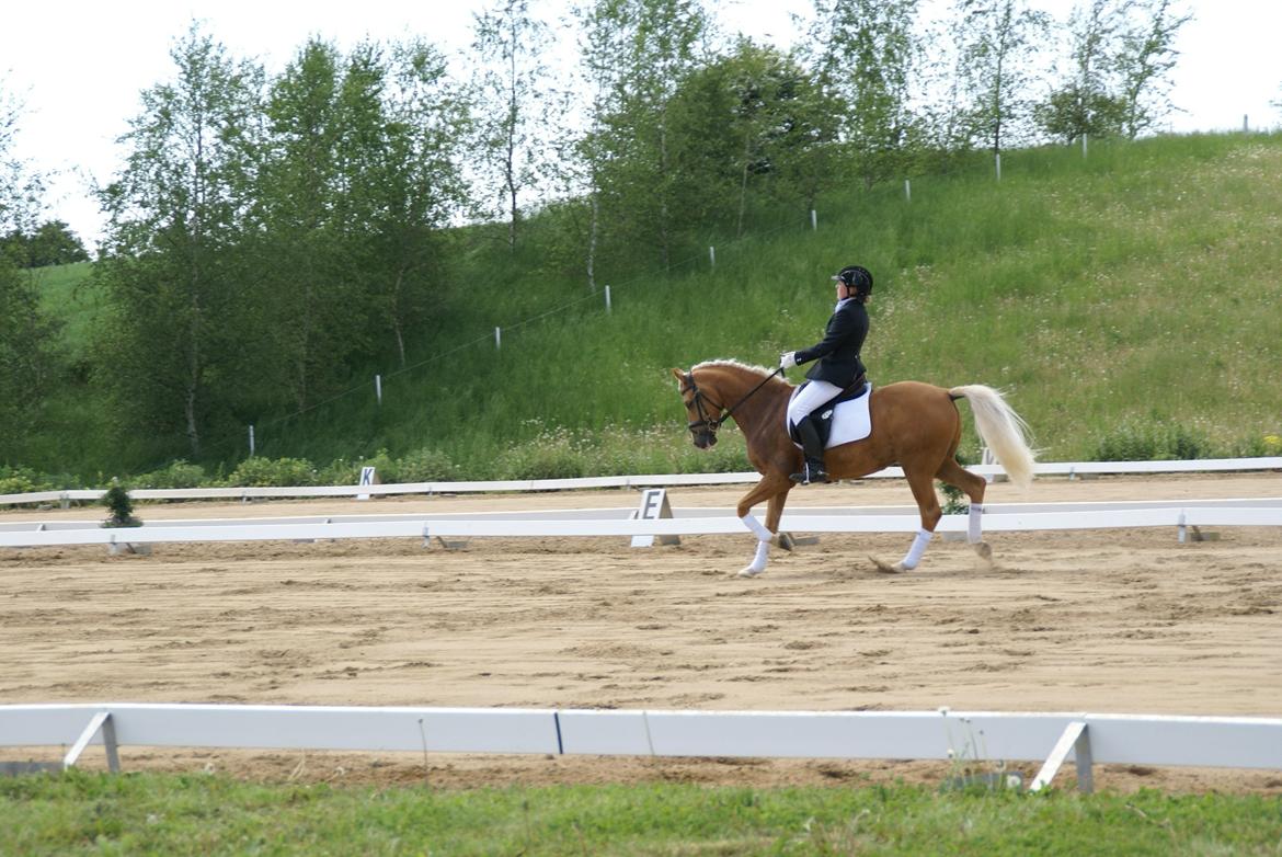 Højfyns Rideklub  Pinsen 2012 billede 59