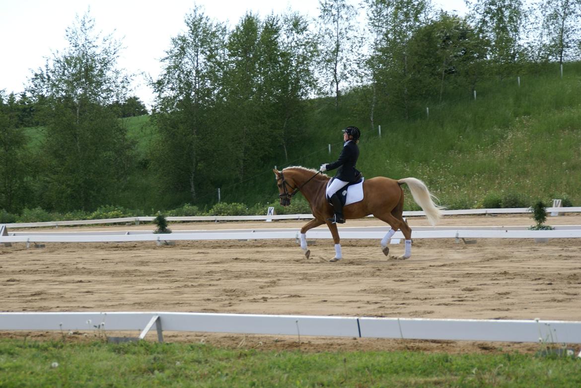 Højfyns Rideklub  Pinsen 2012 billede 60