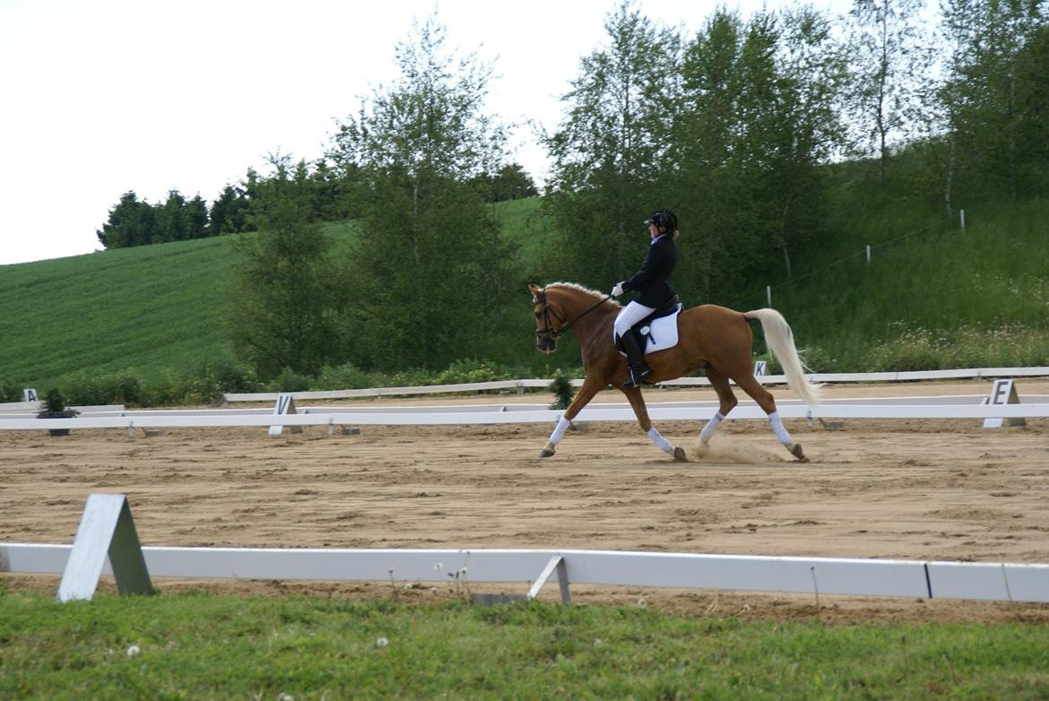 Højfyns Rideklub  Pinsen 2012 billede 61