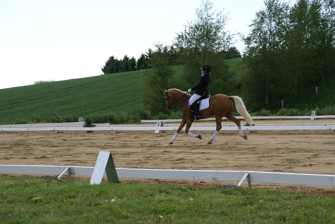 Højfyns Rideklub  Pinsen 2012 billede 62