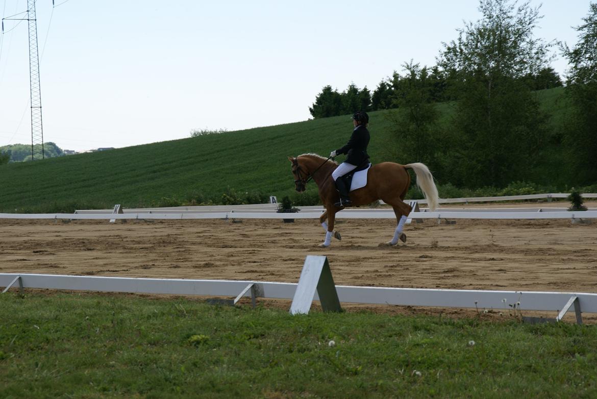 Højfyns Rideklub  Pinsen 2012 billede 63