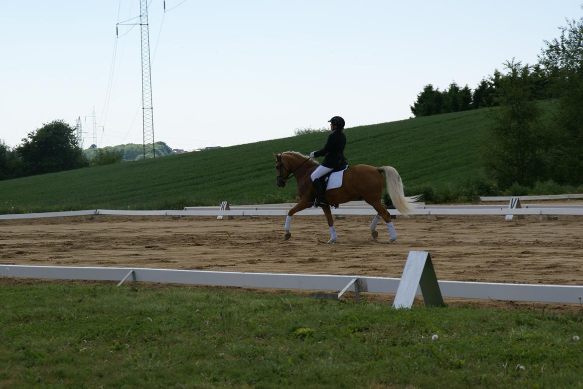 Højfyns Rideklub  Pinsen 2012 billede 64