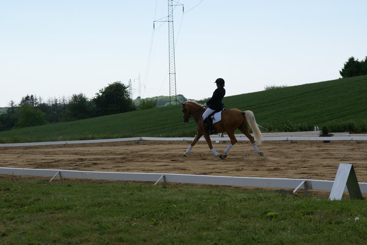 Højfyns Rideklub  Pinsen 2012 billede 65