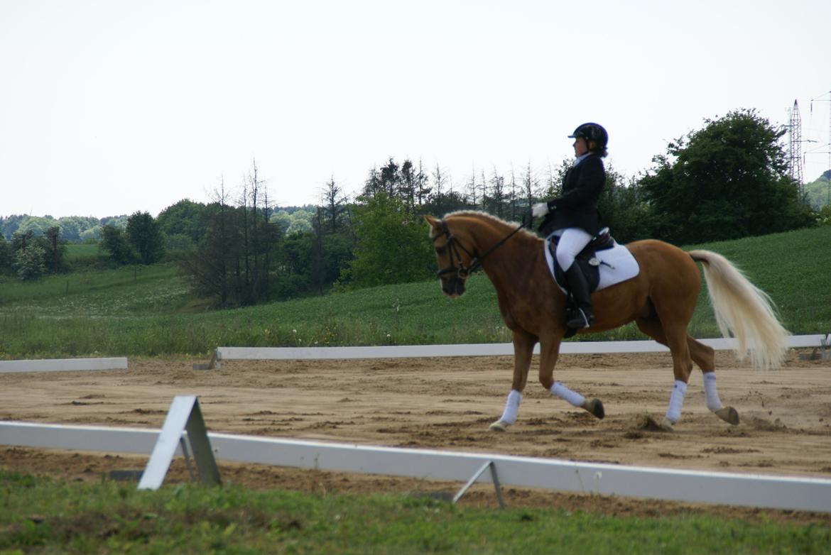 Højfyns Rideklub  Pinsen 2012 billede 66