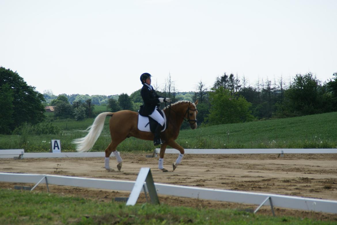 Højfyns Rideklub  Pinsen 2012 billede 69